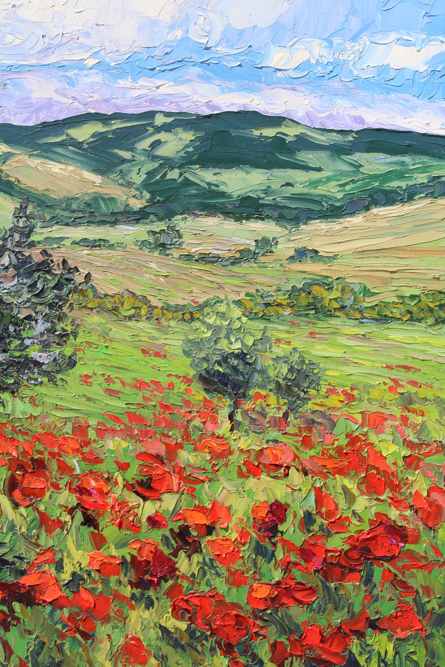 Tuscan Poppies