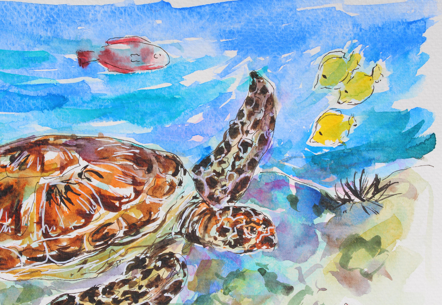 Hawaiian Sea Turtle And Yellow Tangs