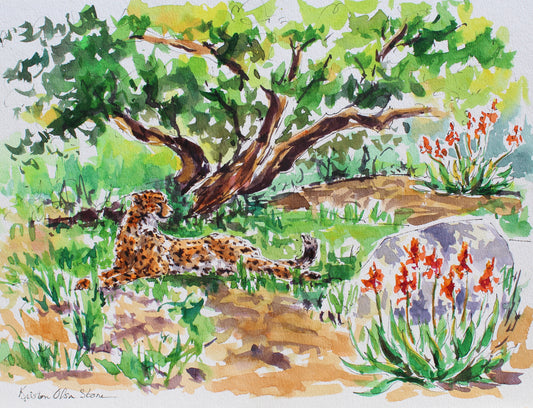 A Place In The Shade