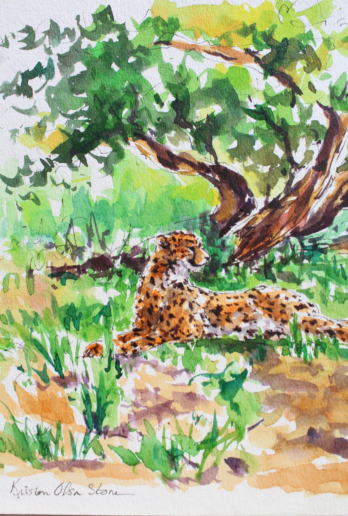 A Place In The Shade
