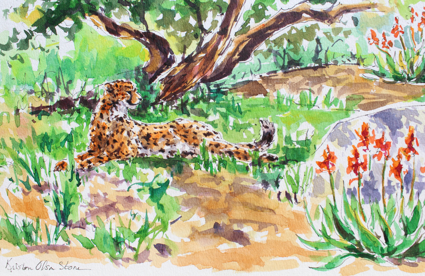 A Place In The Shade