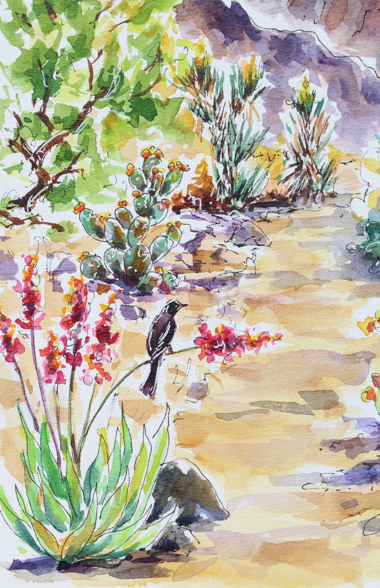 Palm Springs Desert Scenery
