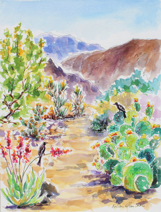 Palm Springs Desert Scenery