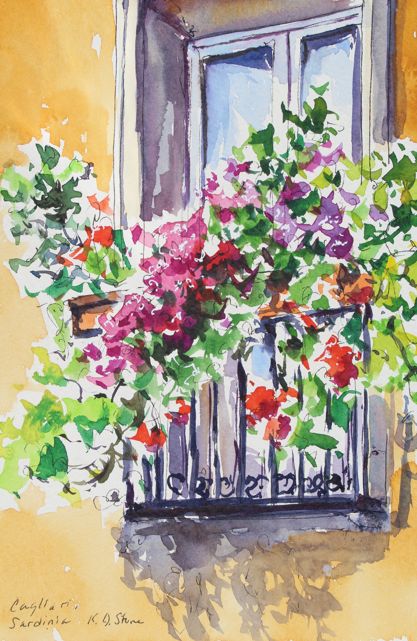A Sunny Window Box In Sardinia