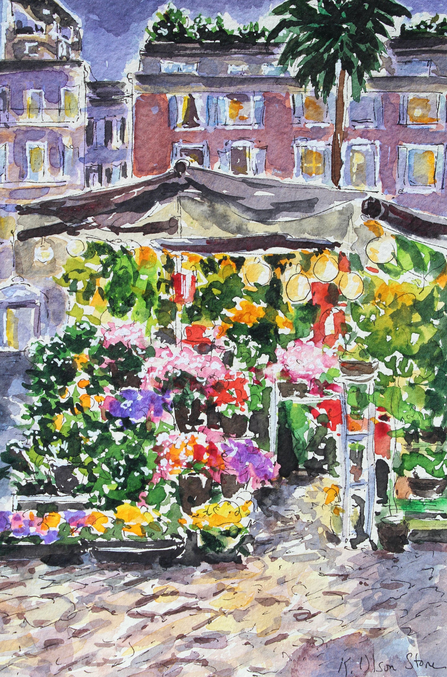 Flower Stand, Piazza Di Spagna, Rome