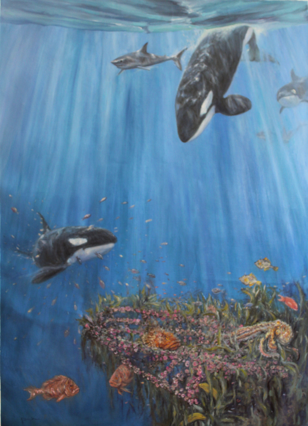 A painting depicting orcas and a short finned Mako shark in a underwater scene with a sunken ship, The Rainbow Warrior, which has turned into a coral reef.