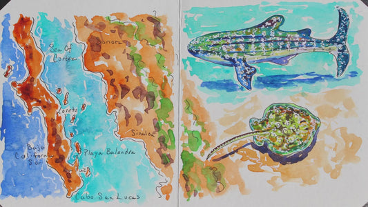A Mexican Riviera Accordion Sketchbook