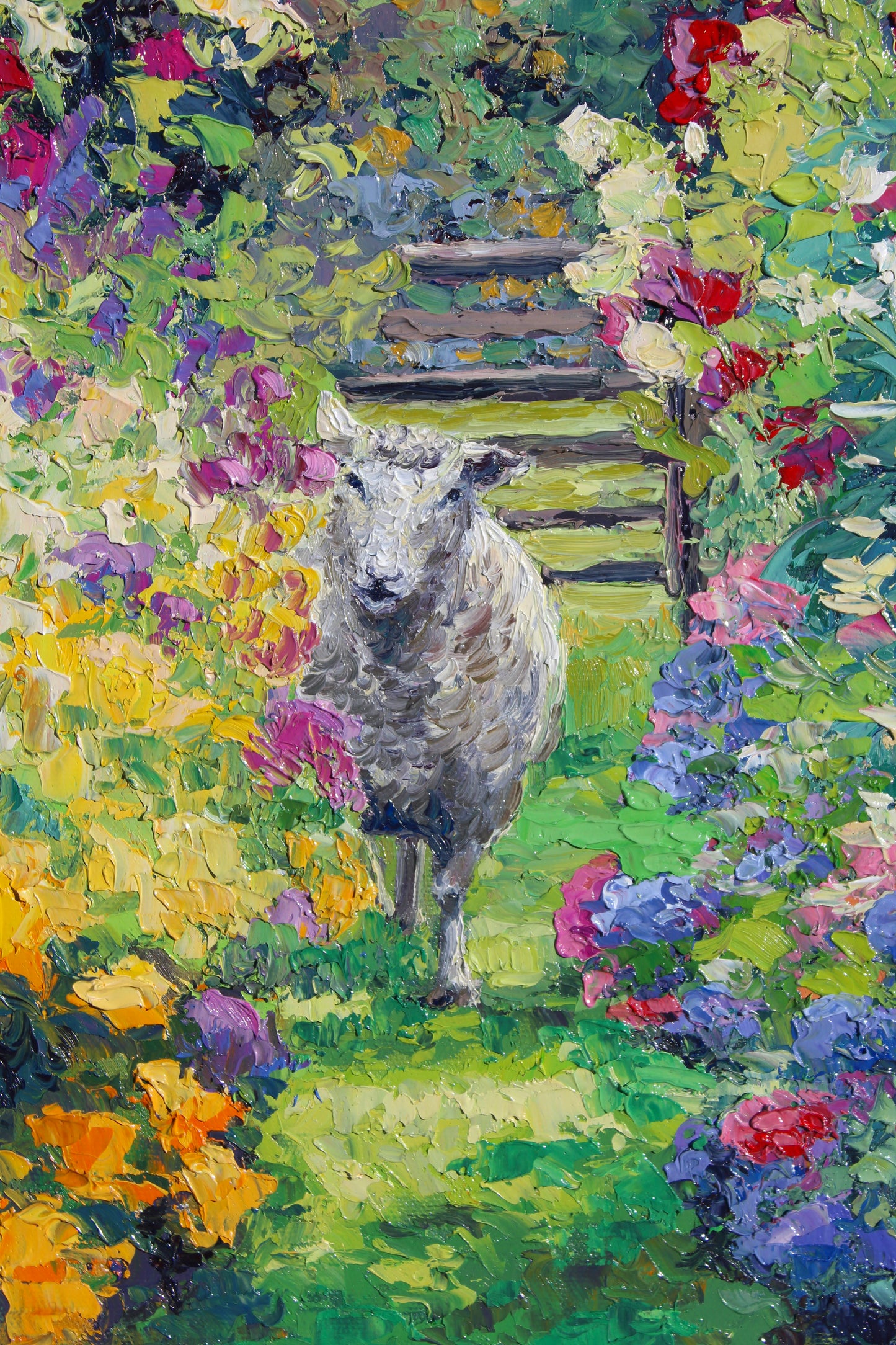 Sheep And Garden