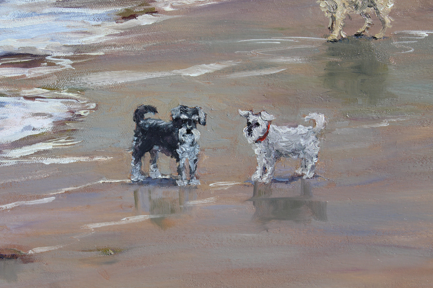 Baker Beach Dogs