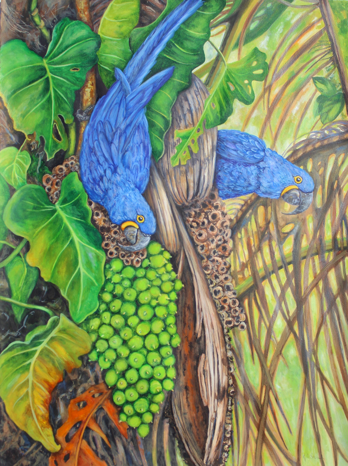 Hyacinth Macaws In The Rainforest, Original 30" x 22" Watercolor Parrot Bird Painting