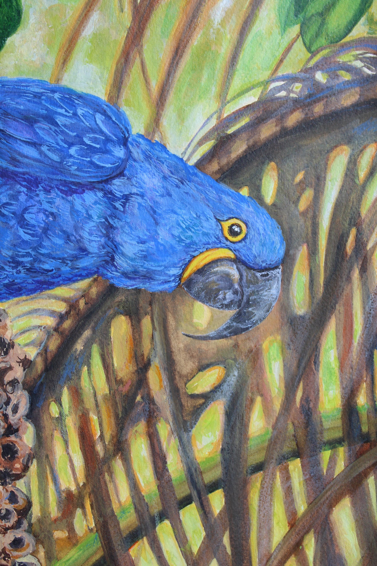 Hyacinth Macaws In The Rainforest, Original 30" x 22" Watercolor Parrot Bird Painting
