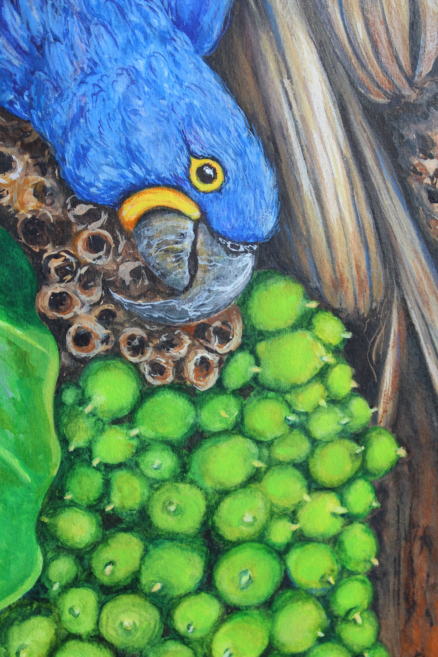 Hyacinth Macaws In The Rainforest, Original 30" x 22" Watercolor Parrot Bird Painting