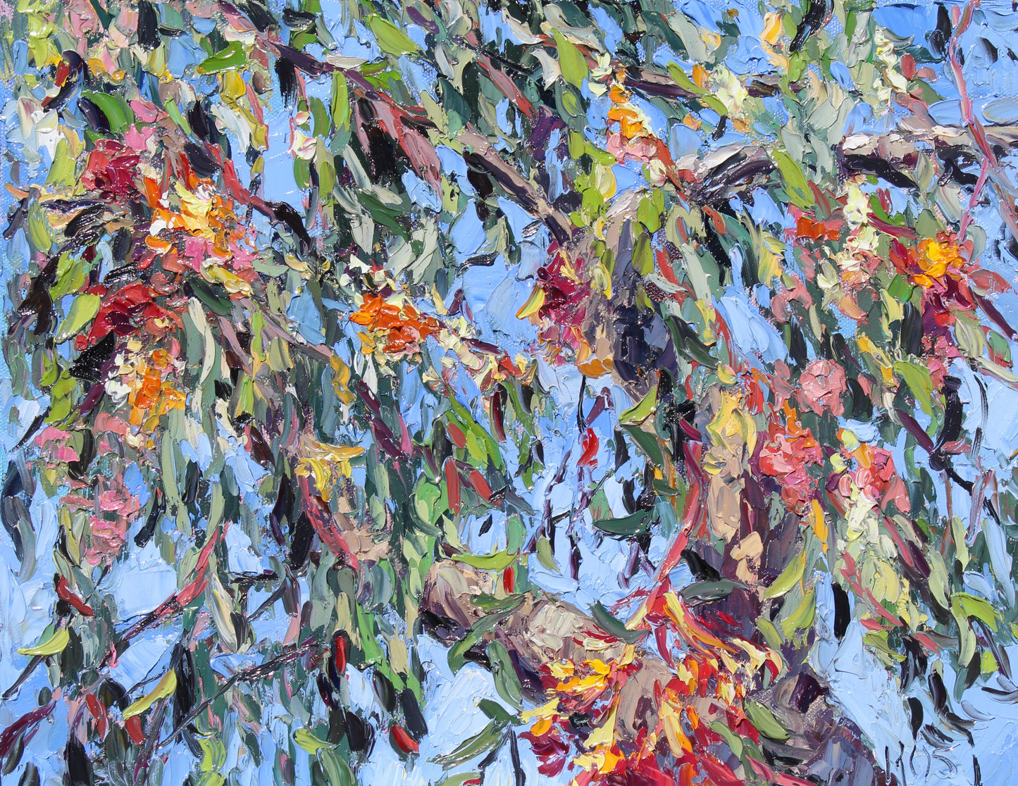 Eucalyptus Blossoms, Original 11" x 14" Garden Landscape Gum Tree Painting