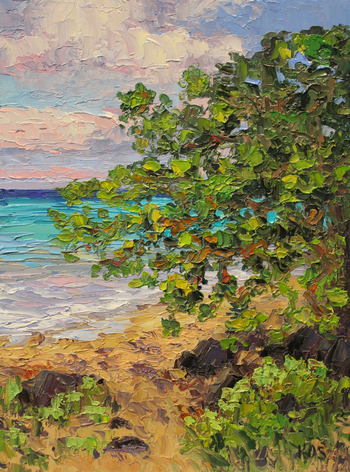 An original oil painting of a Kamani tree on the beach in Hawaii.