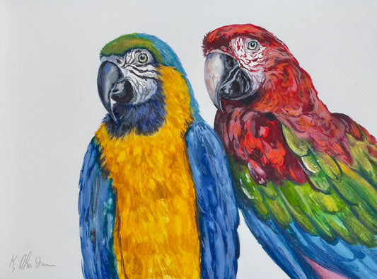 Macaws In Love